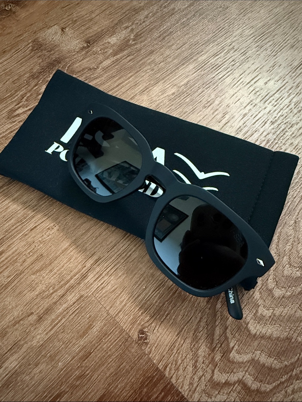 I-Sea Black Matte Polarized Sunglasses with Case
